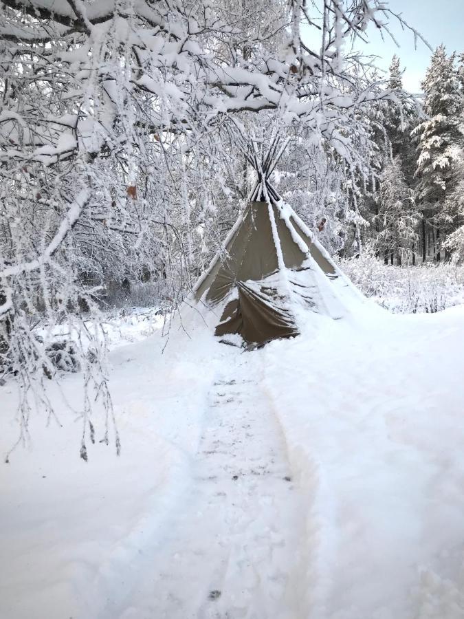 Villa Orohat 2 Rovaniemi Eksteriør billede
